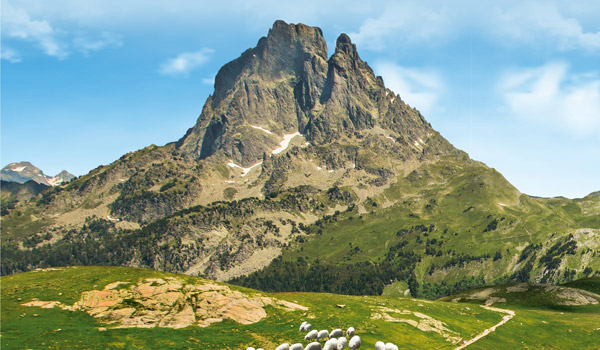 pic-d-ossau-et-ses-brebis